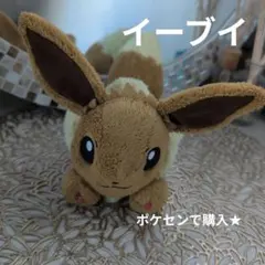 ポケモン イーブイ ぬいぐるみ 寝そべり　ポケセン