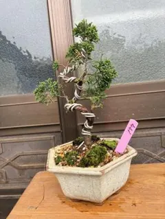 @sunday様 リクエスト 10点 まとめ商品