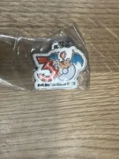 ポケモン 30周年メタルチャームマスコット　リザードン