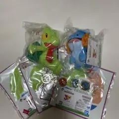 お*ょ様 ポケモン 一番くじ 30th ジョウト チコリータ ワニノコ