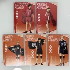 ハイキュープラザ 特典 ポストカード 影山・日向・月島・黒尾・孤爪