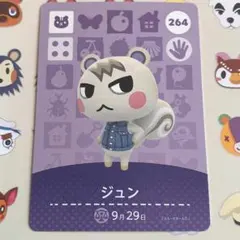 amiiboカード　あつまれどうぶつの森　ジュン　第３弾