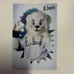 2026 第２弾　プロ野球チップス レオ カード
