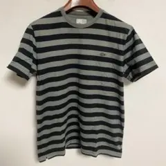 LACOSTE ボーダー Tシャツ カーキ×ネイビー 4のサムネイル