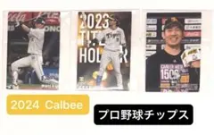 【未使用品】プロ野球カード3枚セット源田壮亮 タイトルホルダー近本光司 石川柊太