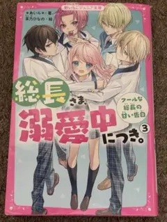 小説　総長さま、溺愛中につき。 3