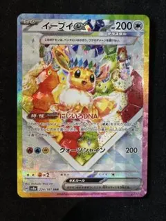 イーブイex SAR SV8a テラスタルフェスex 224/187