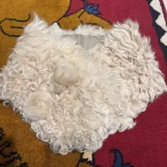 限定お値下げ♩didizizi カルガンラムベアーティペット ︎︎♪′