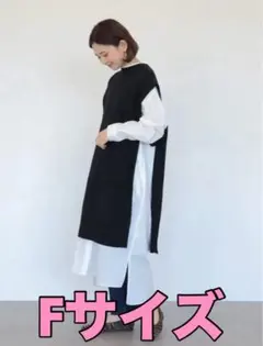 AMERICANHOLIC バックボタン ロング ニット ベスト Fサイズ 黒