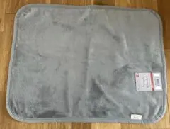 Item thumbnail for item 1105dd35-552f-4287-b52f-610821261adb