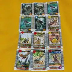 ムシキング カード　2005ファースト12枚