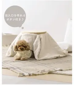 2026年最新】猫 こたつ 3coinsの人気アイテム - メルカリ