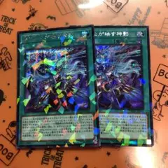 遊戯王ヒスコレ ウルトラレア 真紅の黒竜 青眼の白龍 ブラック
