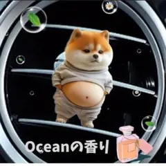 心春様 リクエスト 2点 まとめ商品