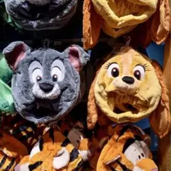 レディ トランプ ファンキャップ セット売り