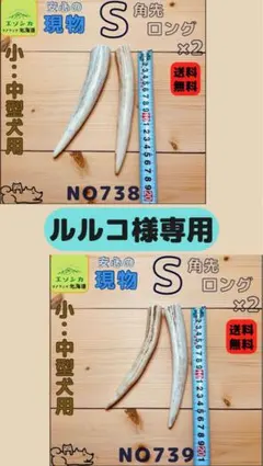 ルルコ様専用⭐︎現物⭐︎鹿の角⭐︎角先⭐︎犬のおもちゃ⭐︎738 739
