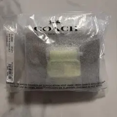 Item thumbnail for item f337713d-88ac-4754-b646-fc84db28e123