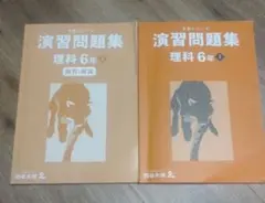 演習問題集 理科 6年 上　解答解説付き　早稲田アカデミー　四谷大塚　中学受験