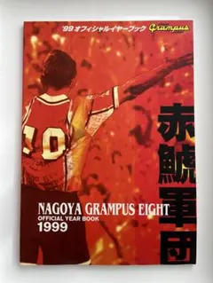 1995名古屋グランパスエイト オフィシャル・イヤー VHS - メルカリ