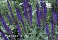 mint yutaka様 リクエスト 2点 まとめ商品