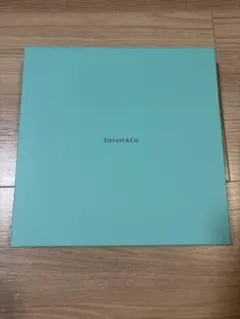 Tiffany & Co. コブルストーン プラター プレートのサムネイル