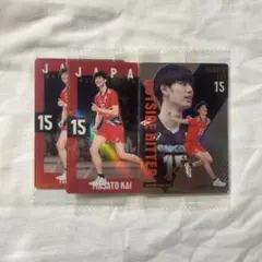 バレーボール ウエハース 甲斐優斗 レア ノーマル