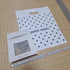 Item thumbnail for item f9efa2c5-d53f-4e3c-8b62-f40209a7da48