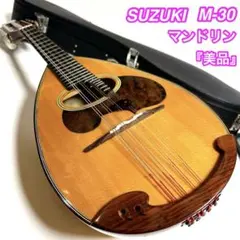 2026年最新】suzuki mandolinの人気アイテム - メルカリ