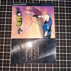 HUNTER×HUNTER カードダスマスターズ ゴン ハンゾー - メルカリ
