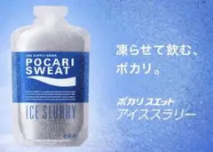 ポカリスエット アイススラリー 100g×12個
