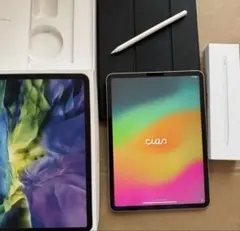 iPad Pro 11インチ第2世代本体 + Apple Pencil第2世代