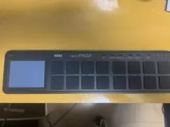 Item thumbnail for item a5a13b66-1527-47e3-bc01-fa02c4e7413f