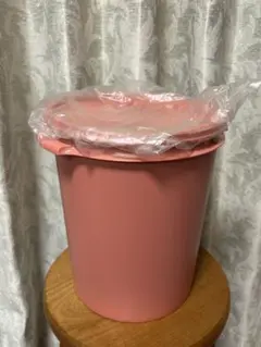 Tupperware マキシクイーンデコレーター 11L (２個22000円) Tupperware マキシクイーンデコレーター 11L (2個22000円) - メルカリ