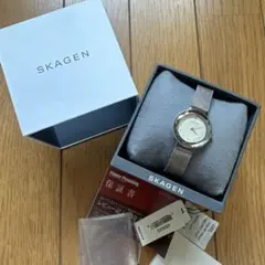 スカーゲンSKAGEN 腕時計 シルバー メッシュベルトのサムネイル