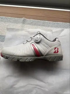 Item thumbnail for item 63993c51-710f-45d9-a5ba-654d2d4daf2c