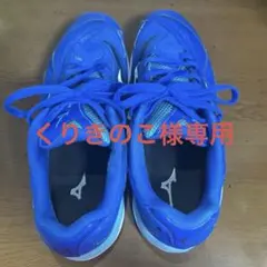 ミズノ卓球シューズ ウェーブメダル7青色26センチ くりきのこ様専用