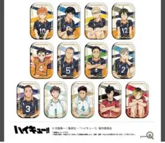 2025年最新】ハイキュー!! セブンネット限定 スクエア缶バッジの