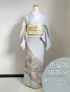 正絹 色留袖 袋帯セット 身丈154cm×裄62cm 一つ紋 ライトグレー