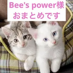 Bee's power(ビーゲンキ)様 リクエスト 3点 まとめ商品