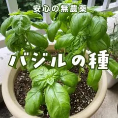 osr6s様 リクエスト 3点 まとめ商品