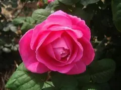 抹茶豆乳様 リクエスト 2点 まとめ商品