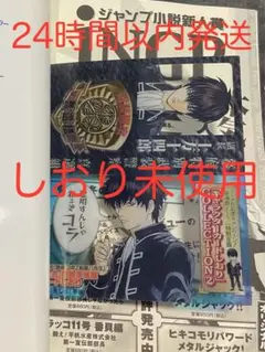 Item thumbnail for item ec5ba156-9d22-4363-b168-742c09c15f8f