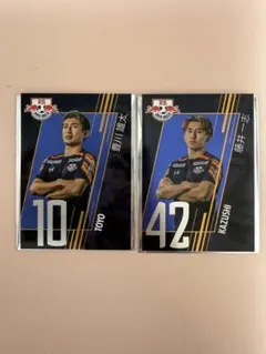 Item thumbnail for item 7940a4ce-22a7-4b59-89df-15cfff2fc40d