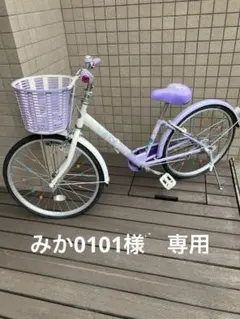 エコパルブルー20インチ恵庭近郊引き取り限定 エコパルブルー20インチ恵庭近郊引き取り限定 - メルカリ