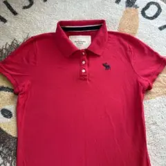 Abercrombie & Fitch ポロシャツ L