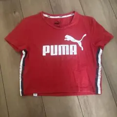 PUMA 半袖Tシャツ レッド Mサイズのサムネイル
