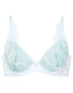 Wing/Wacoal ウイング/ワコール　レシアージュ　ブラジャー　F65