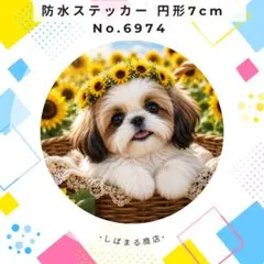 【送料無料❣️】シーズー防水ステッカー 7cm 円形 ひまわり