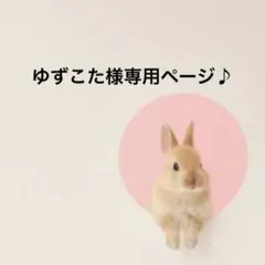 ゆずこた様専用ページ♪