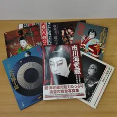 【歌舞伎】芸能 写真集 雑誌 大量26冊セット市川海老蔵 坂東玉三郎 襲名 歌舞伎】芸能 写真集 雑誌 大量26冊セット市川海老蔵 坂東玉三郎 襲名